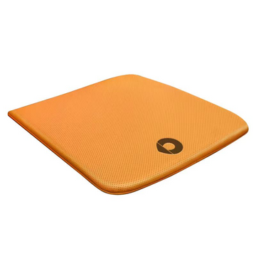 Napa Leather Seat Cushion for Smart Evfuns