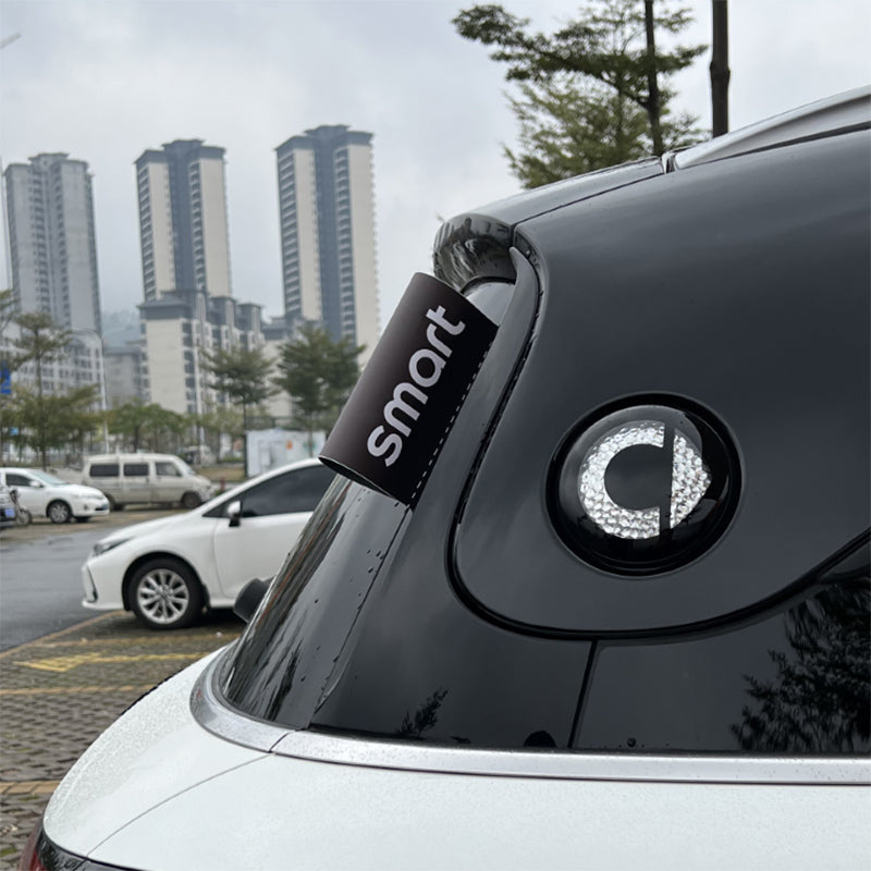 SMART Car Sticker Label – Decorative PVC Adhesive Decal (15*20cm / 8*10cm) Washable Label - Smart [Silent Black] Evfuns