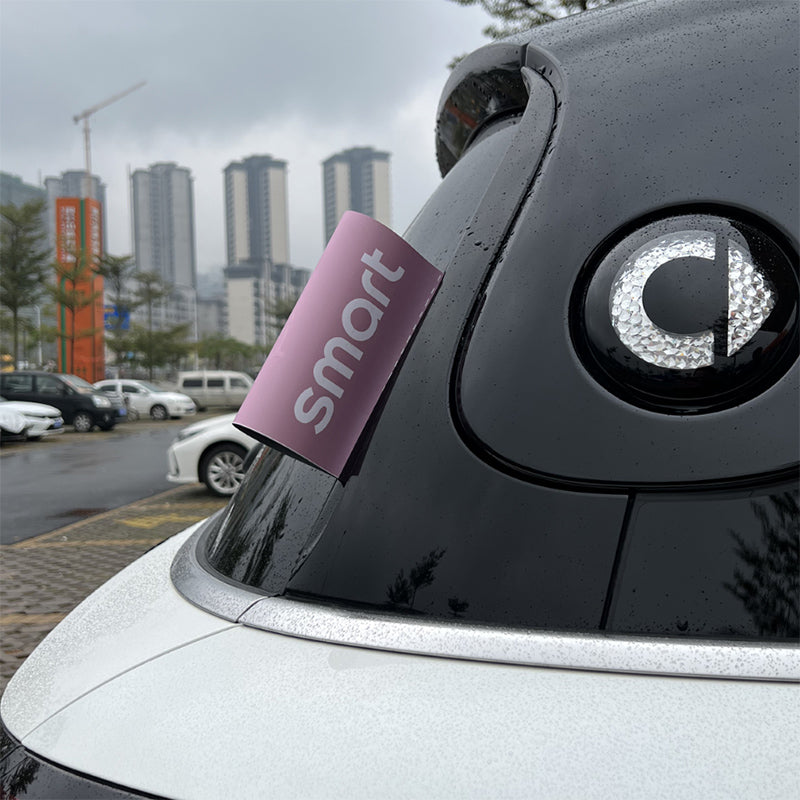 SMART Car Sticker Label – Decorative PVC Adhesive Decal (15*20cm / 8*10cm) Washable Label - Smart [Pop Pink] Evfuns