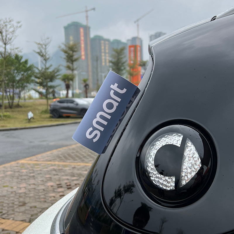 SMART Car Sticker Label – Decorative PVC Adhesive Decal (15*20cm / 8*10cm) Washable Label-smart [Matte Gray] Evfuns