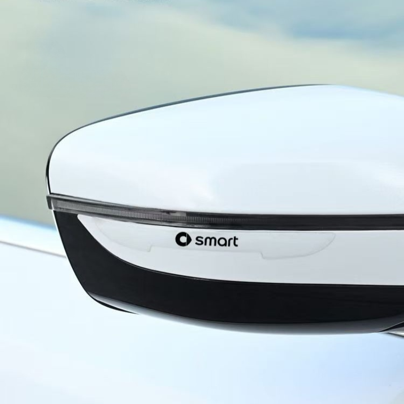 Body Scratch Protection Sticker for Smart Evfuns