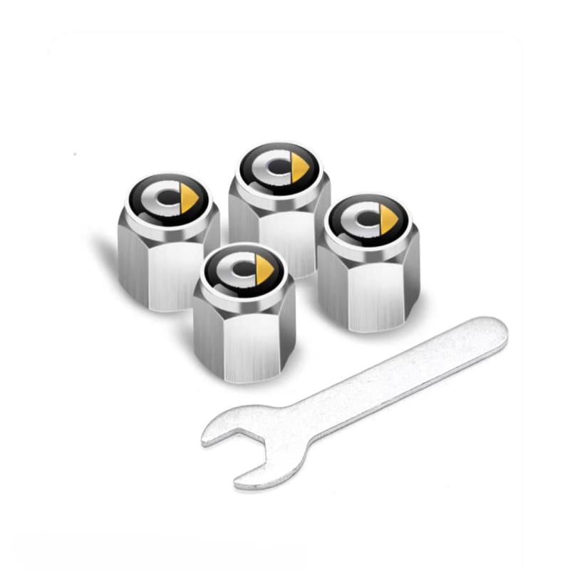 Car Tire Valve Stem Caps for Smart Silver Evfuns