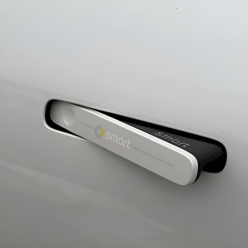 Door Handle Protection Film for Smart Evfuns