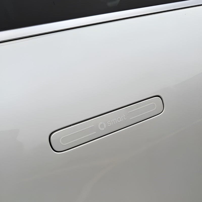 Door Handle Protection Film for Smart Evfuns