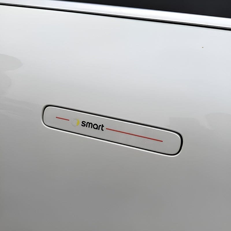 Door Handle Protection Film for Smart Evfuns
