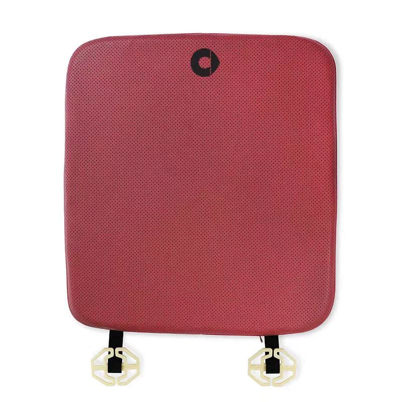 Napa Leather Seat Cushion for Smart E Evfuns